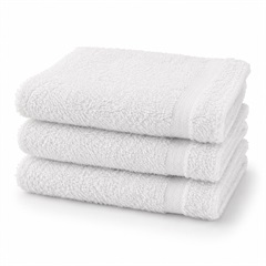 Ambassador Terry Washcloth, 9151216